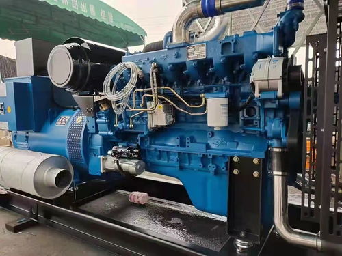 衡水長(zhǎng)期提供本地發(fā)電機(jī)出租 租賃選康成機(jī)電設(shè)備