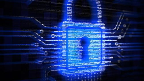 亮劍浦江 上海專項(xiàng)整治行動(dòng)顯著提升醫(yī)療服務(wù)類互聯(lián)網(wǎng)企業(yè)數(shù)據(jù)安全與個(gè)人信息保護(hù)水平