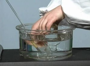 圖解加熱氯酸鉀或高錳酸鉀制取氧氣的實(shí)驗(yàn)