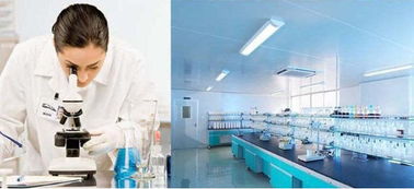 sirene beaute詩林美締gmp工廠,匠心造精品