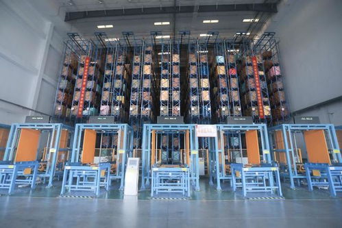 炒貨之都 合肥孕育這家瓜子企業(yè),用數(shù)字化控供應(yīng)鏈 合肥新質(zhì)觀⑧.視頻